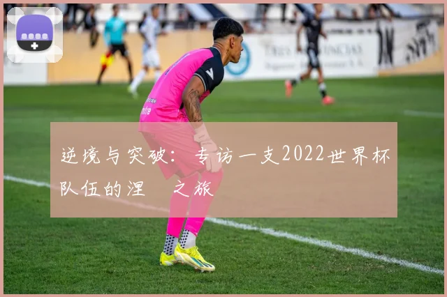 逆境与突破：专访一支2022世界杯队伍的涅槃之旅