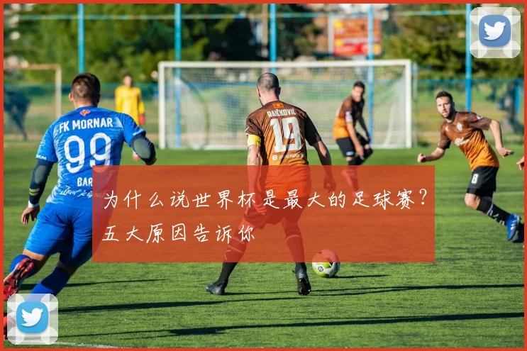 为什么说世界杯是最大的足球赛？五大原因告诉你