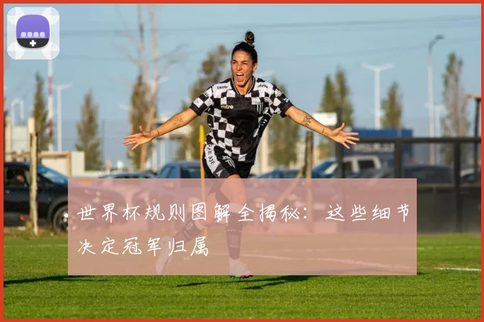 世界杯规则图解全揭秘：这些细节决定冠军归属