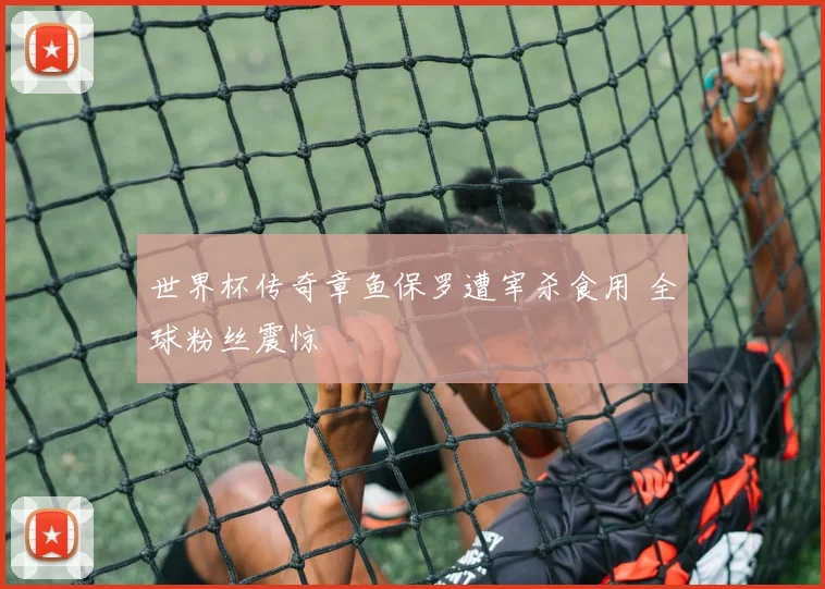 世界杯传奇章鱼保罗遭宰杀食用 全球粉丝震惊