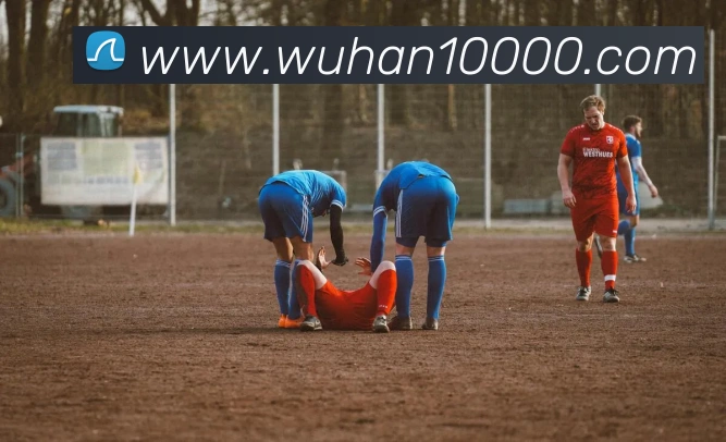 星空官方网站平台服务体系